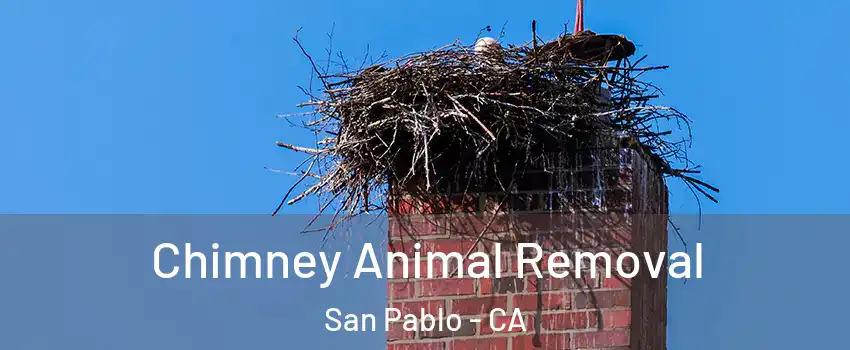  Chimney Animal Removal San Pablo - CA