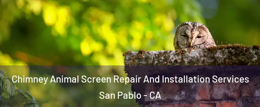 Chimney Animal Screen Repair And Installation Services San Pablo - CA