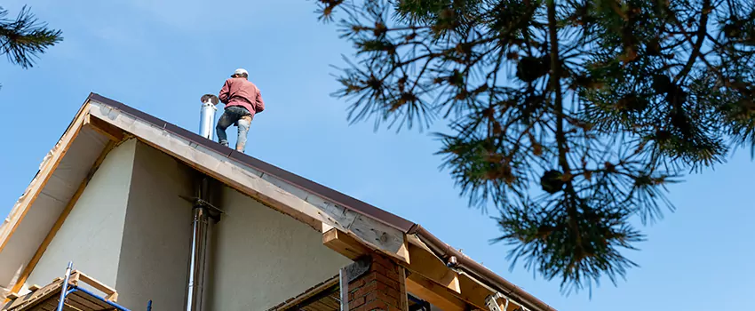 Birds Removal Contractors from Chimney in San Pablo, CA